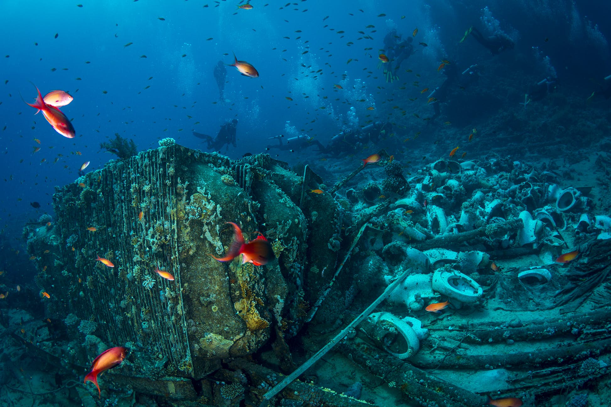 Group of scuba divers diving Yolanda wreck off Sharm El Sheikh in Egypt © UnderTheSea / Shutterstock
