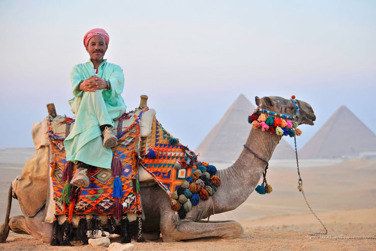 A guided tour could be the best way to explore the Pyramids. © Peter Seaward/Lonely Planet