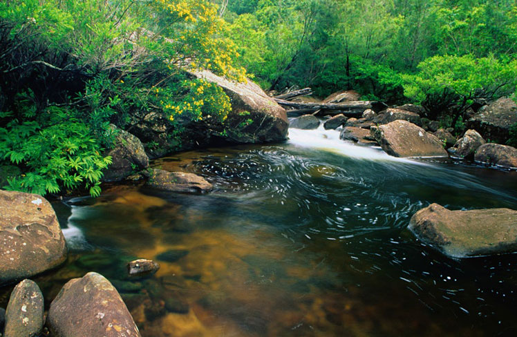 The tanin-rich waters of Erskine Creek offer relief from the blistering heat of an Australian summer © Mark Parkes / Getty Images