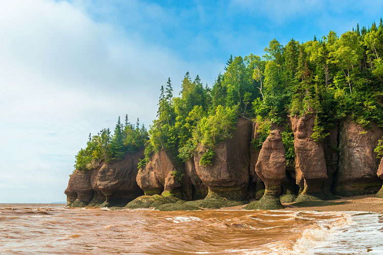The Dr. Seussian formations of the Hopewell Rocks are a popular New Brunswick attraction © Vadim Petrov / Shutterstock