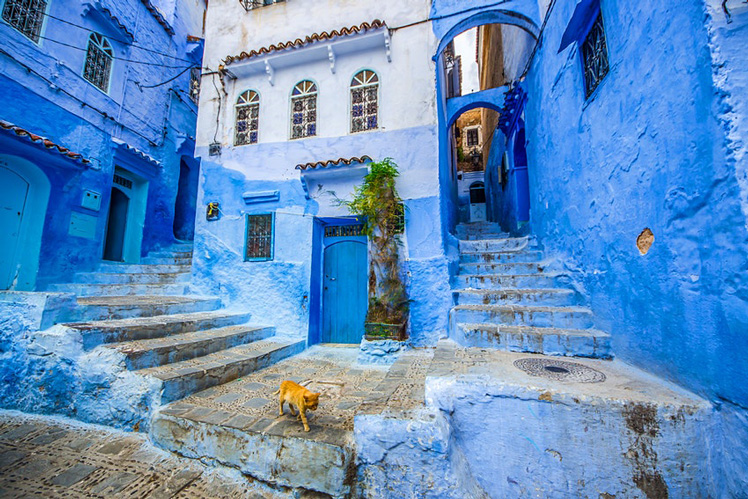 Famous blue city of Chefchaouen, Morocco © komyvgory / Getty Images