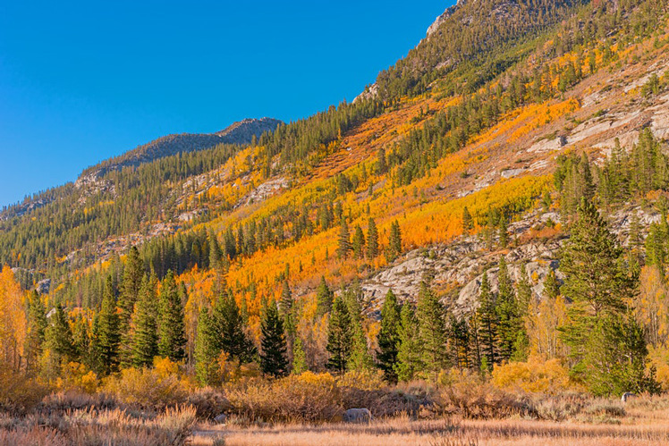 California is not as well known as America's eastern states for fall colors, but that's beginning to change © Ron and Patty Thomas / Getty Images