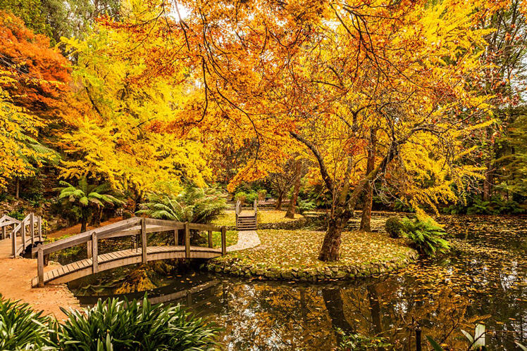 The Alfred Nicholas Memorial Gardens in Australia's Dandenongs © Tsvi Braverman / EyeEM / Getty Images
