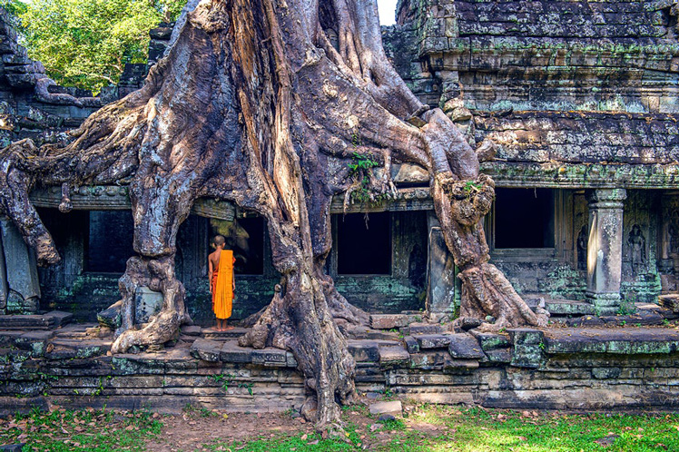 Ta Prohm temple, Angkor Wat, Cambodia © Guitar photographer / Shutterstock