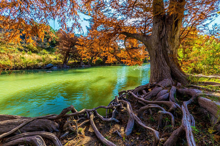 Fall foliage on the river at Guadalupe State Park ©Richard A McMillin/Shutterstock