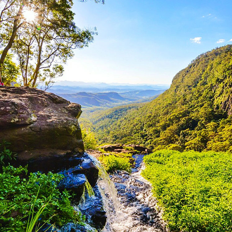 Lamington National Park soothes mind and soul © Maclerin Mines / EyeEm / Getty Images