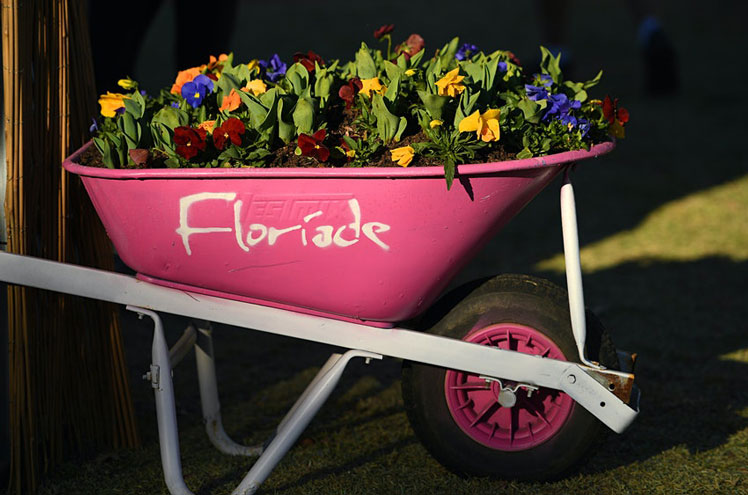 Floriade is Canberra, Australia's annual flower festival © Tracey Nearmy / Getty Images