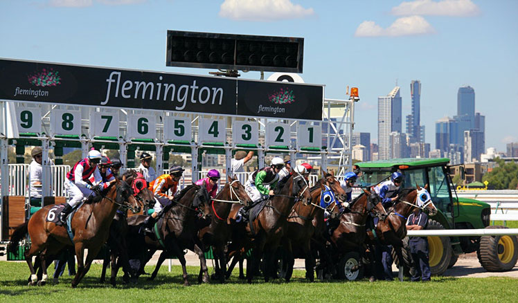 Horses jump from the starting stalls in the Roy Higgins Quality, won by Elmore at Flemington on March 13, 2010 - Melbourne, Australia. ©Neale Cousland/Shutterstock